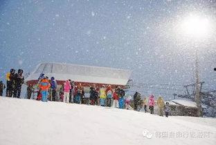 韩国去滑雪