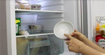 清洗冰箱视频