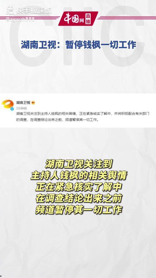 娱乐吃瓜酱文件,揭秘娱乐圈幕后故事