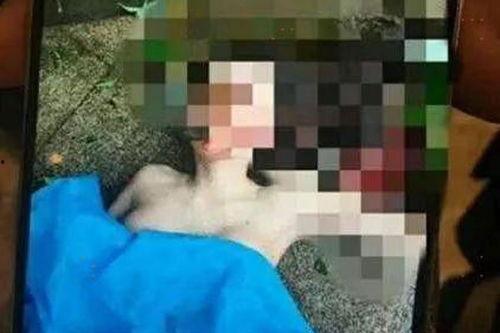 任娇跳楼图片,揭开娱乐圈背后的悲剧面纱”