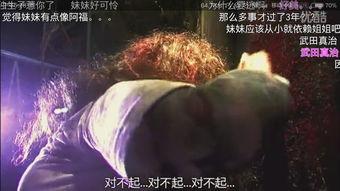 对不起 日本电影,探寻历史与情感的交织