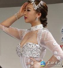 大乳房大乳头图片大全,图片大全中的性感魅力