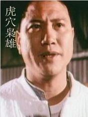 虎穴枭雄国语,揭秘乱世英雄的传奇人生