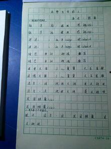 图片造句,从一张图片看世界