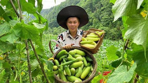在瓜田里吃瓜千金爆料了,揭秘娱乐圈不为人知的秘密