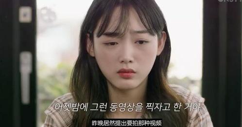 想爱视频,探索爱情与生活的美好瞬间