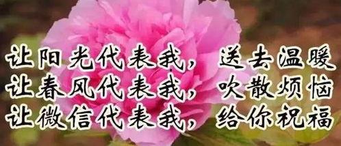 亲爱的早上好图片大全,温馨图片传递美好祝福