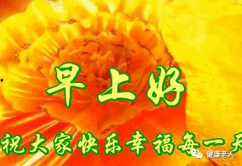 亲爱的早上好图片大全,温馨图片传递美好祝福