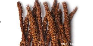 不老草图片,神秘植物的生命奥秘