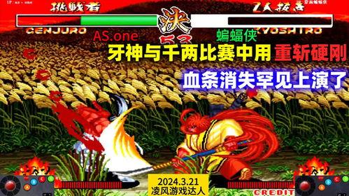 侍魂2对战视频,经典对决，重温热血激战