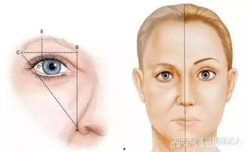 切眉视频,跟随视频教程，重塑眉型新篇章
