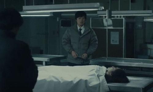 日本破案悬疑电影,揭开日本悬疑破案电影的神秘面纱