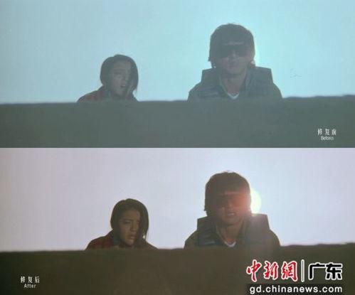 飞鹰计划在线观看,揭秘中国航天员选拔与训练的传奇历程