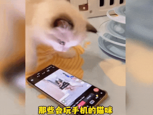 夜猫子视频,揭秘深夜生活背后的秘密与魅力