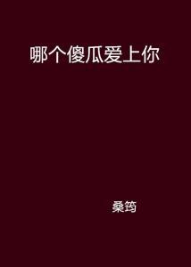 那个傻瓜在线观看,一场爆笑的智慧对决