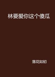 那个傻瓜在线观看,一场爆笑的智慧对决