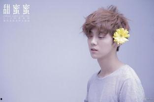 鹿晗出道视频,星光璀璨，梦想启航