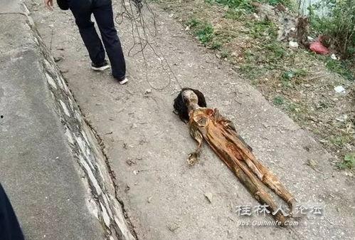 女车祸裸尸图片大全,女车祸裸尸图片背后的悲惨故事