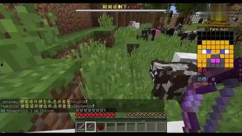 猎手在线观看,揭秘网络世界的神秘猎手