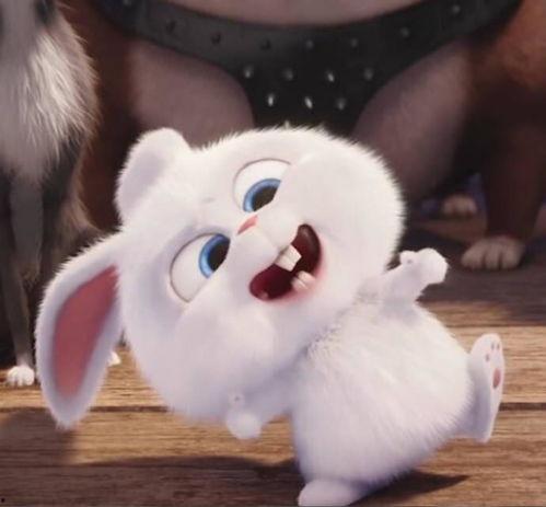 萌兔子图片大全头像,精选兔子图片大全头像赏析