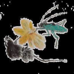 鱼虫图片,探寻鱼虫世界的奇妙奥秘