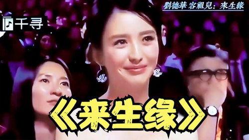 国语版味道,一场味蕾与文化的邂逅