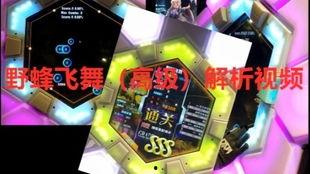 野蜂飞舞视频,揭秘蜂群智慧与自然和谐