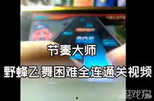 野蜂飞舞视频,揭秘蜂群智慧与自然和谐