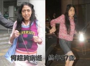 日本裸体恶搞,揭秘网络恶搞文化的边界与争议