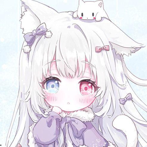 卡通动漫图片大全女,描绘青春梦想的动漫女神图鉴