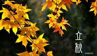 立秋穿衣图片大全,从图片大全看流行服饰搭配