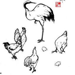 丑小鸭的故事视频