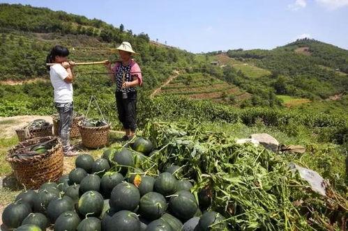 青海浪山最新吃瓜爆料