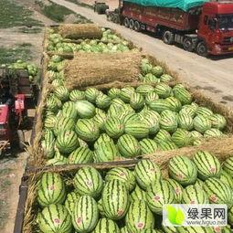 青海浪山最新吃瓜爆料