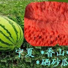 青海浪山最新吃瓜爆料