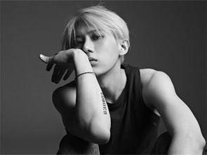 张贤胜在韩国红吗,在韩国娱乐圈的璀璨星光与争议风云