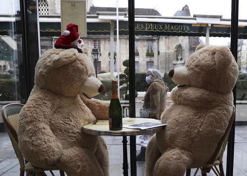 日本熊ed2k,揭秘神秘网络世界的神秘生物