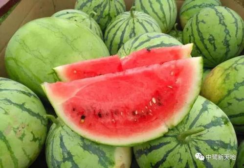 51吃瓜中心今日吃瓜 国产,51吃瓜中心揭秘今日热门国产生态