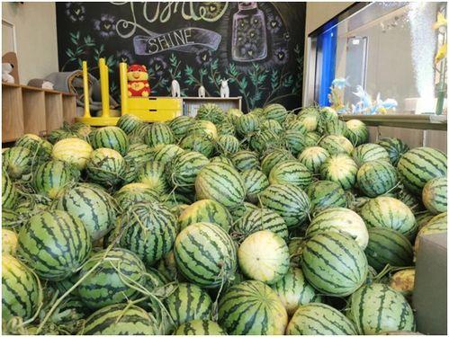 51吃瓜中心今日吃瓜 国产,51吃瓜中心揭秘今日热门国产生态