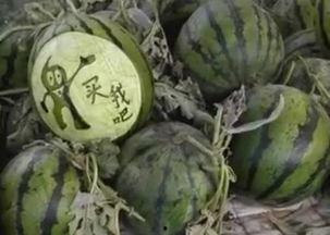 凉山吃瓜爆料视频最新,揭秘当地美食文化背后的故事