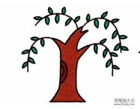 垂柳简笔画图片大全,简笔画中的自然画卷