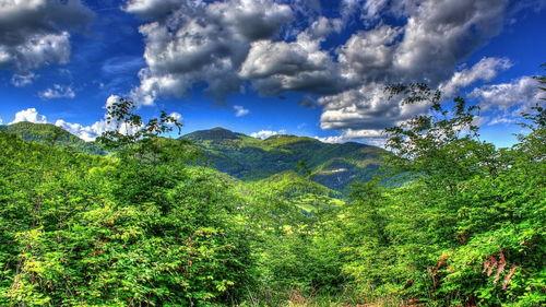 自然美景图片大全大图