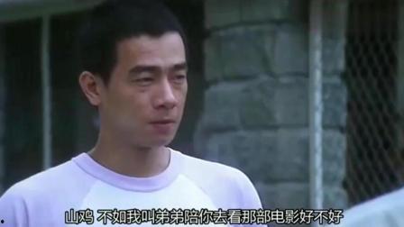 山鸡的故事国语,从底层奋斗到商业巨头的传奇人生