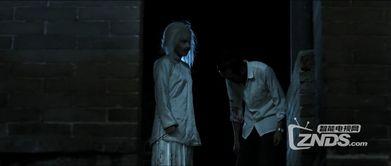 恐怖电影鬼片国语,鬼影重重，揭秘恐怖电影鬼片国语之谜