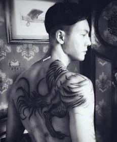 穷奇图片大全,探寻神秘生物的奇幻世界